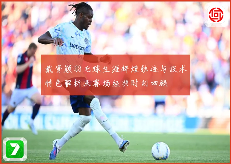 戴资颖羽毛球生涯辉煌轨迹与技术特色解析及赛场经典时刻回顾