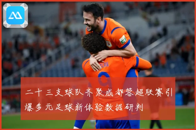 二十三支球队齐聚成都蓉超联赛引爆多元足球新体验数据研判