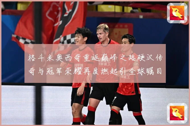 格斗米奥西奇重返巅峰之路硬汉传奇与冠军荣耀再度燃起引全球瞩目